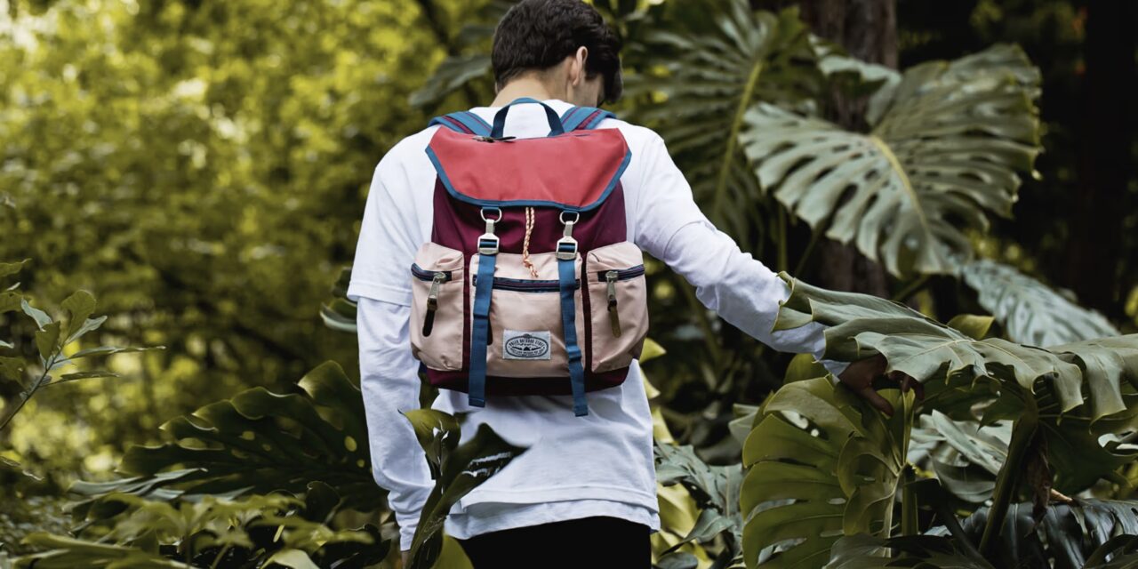 Backpacking Essentials: How to Select the Best Backpack on a Budget this Summer