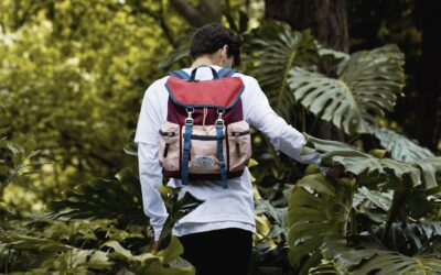 Backpacking Essentials: How to Select the Best Backpack on a Budget this Summer