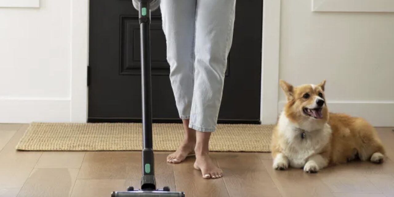Cleaning on a Budget: How to Choose an Inexpensive Vacuum Cleaner
